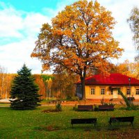 Картинка Смоленской осени :: Милешкин Владимир Алексеевич 