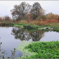 Пляжик из детства ... :: Сеня Белгородский