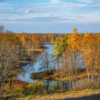 Осень в  парке :: Vladimbormotov 