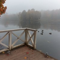 Утиный уголок, или Ожидание попутной лодки :: Валерий Паршин