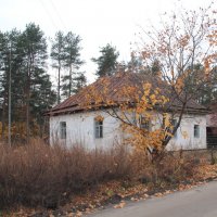 и опустел наш старый сад... :: Сергей Тарбеев