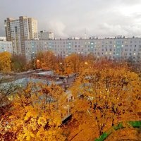 Осень в Москве. :: Ольга Довженко