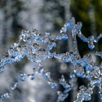 Водяное ожерелье :: Георгий А