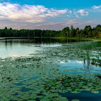 Озеро :: Александр Силинский