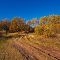 Природа октября :: Александр Синдерёв