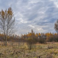 Под небом октября... :: Владимир Жданов