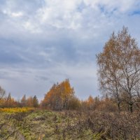 Небо октября... :: Владимир Жданов