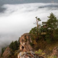 Торгашинский хребет :: Марина Фомина.