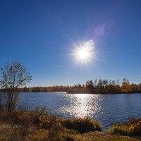 Солнечное небо октября :: Александр Синдерёв