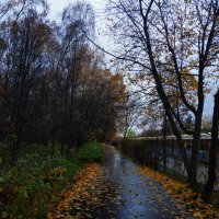 Осень в Измайлове. Тема с вариациями :: Андрей Лукьянов