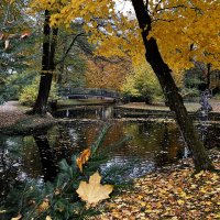 Ну вот, уже и лето пролетело, Но мы с тобой не будем унывать. :: "The Natural World" Александер