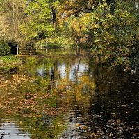 Вот и кончился сезон Отпусков, каникул. :: "The Natural World" Александер