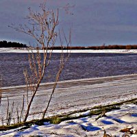 Октябрь...Поздняя осень на Юганской Оби! :: Владимир 