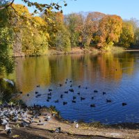 В Лефортовском парке :: Анастасия Смирнова