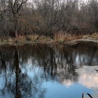 Староладожский канал :: Наталья Герасимова