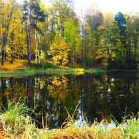 Дивная природа Смоленщины :: Милешкин Владимир Алексеевич 