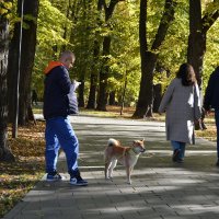 В парке :: Анастасия Смирнова