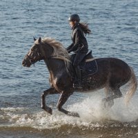 Скачки на воде :: Елена Логачева