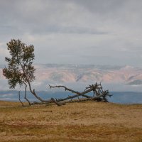 Осенний мотив Байкала. :: Сергей Герасимов