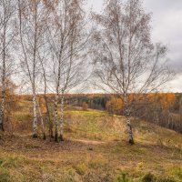 Палитра октября... :: Владимир Жданов