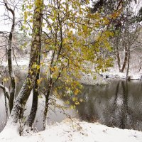 Ещё не все опали листья :: Андрей Снегерёв