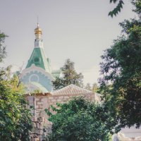 Тропа. :: Анатолий Щербак