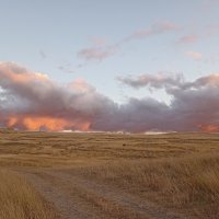 За облаками :: Пасечник 