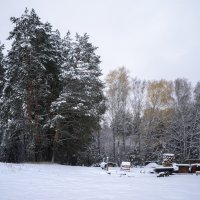 Осень по-зимнему :: Валерий VRN