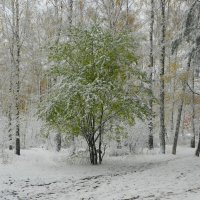 не успела раздеться :: Лера 