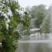 ПЕРВЫЙ СНЕГ Утром глянул я чуть свет: Двор по-зимнему одет. :: "The Natural World" Александер