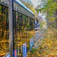 Осень по линии на ул. Большого Оленья :: Георгий А