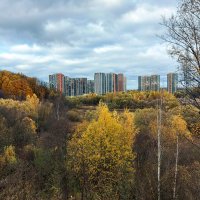 Осень в Москве. :: Владимир Безбородов