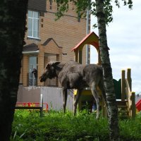 А всё таки Он существует !!!  В смысле Мальчик с пальчик )) :: Владимир Хиль