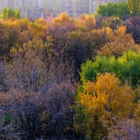 Не хватает только красного цвета :: Георгий А