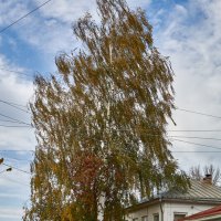 Старые дома в Городце :: Алексей Р.