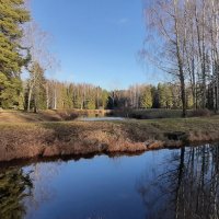 Павловский парк в ноябре :: Наталья Герасимова