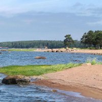 Финский залив :: Александр Ильчевский 