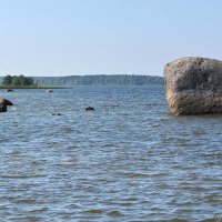 Финский залив :: Александр Ильчевский 