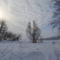 ЗИМНЕЕ СОЛНЦЕ :: Андрей Хлопонин