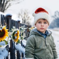 Серёжка :: Cергей Гребеневич: нейро - фотограф, ретушёр