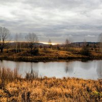 Осень в ноябре :: Милешкин Владимир Алексеевич 