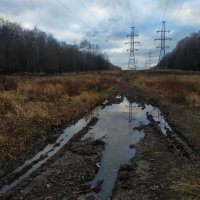 Поздняя осень в Лосином острове :: Андрей Лукьянов