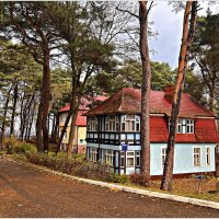 Ноябрь в Светлогорске. Санаторий. :: Валерия Комова