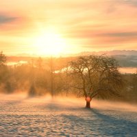 winter sunrise :: Elena Wymann