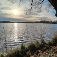 Ноябрьское солнце с дорожкой на воде :: Мария Васильева