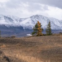 Осень на Алтае :: Марина Фомина.