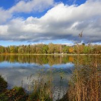 ...Ах, эта трепетная нежность, Как ты собою хороша!.... :: Галина 