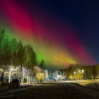 Полярное сияние в парке Ухты. :: Николай Зиновьев