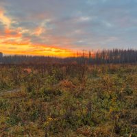 Закат в ноябре :: Роман Оливар