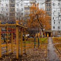 А у нас во дворе :: Александр Тарноградский